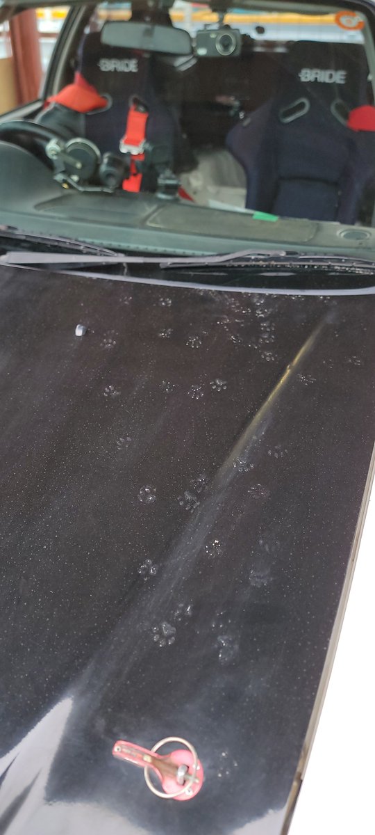 くるうぜっ！ tweet media