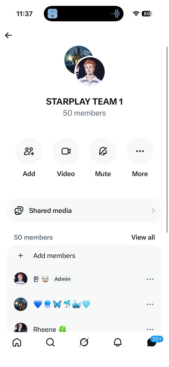 stella tweet media