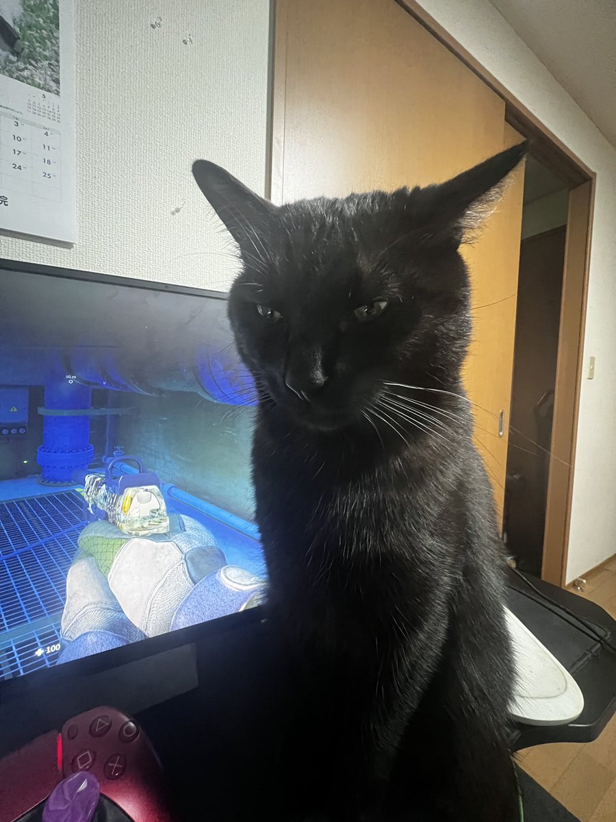 あるこーるぐれん tweet media