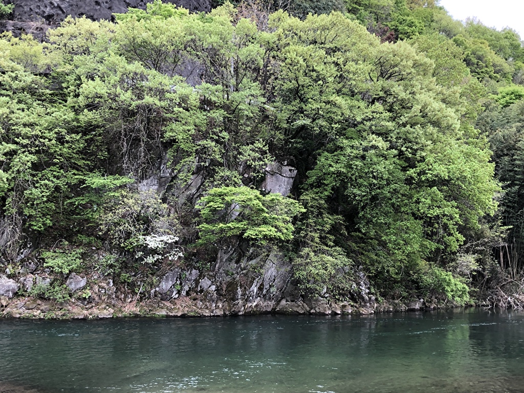 hisuruma's tweet photo. いちばん緑のきれいな新緑の季節がやってきました
＃ひするまキャンプ場 https://t.co/7aXGt4uRjv
