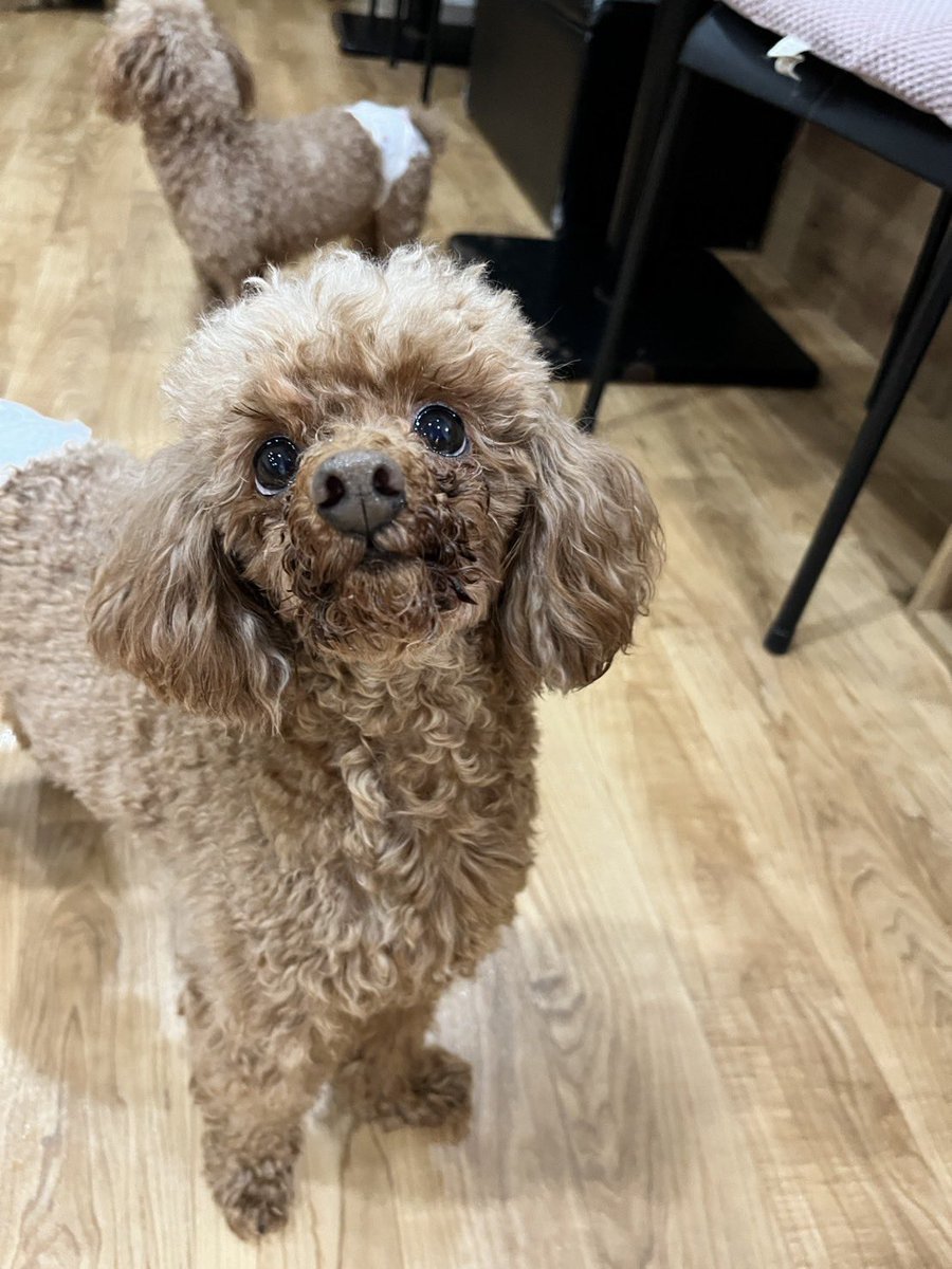 NPO法人LoveFive tweet media