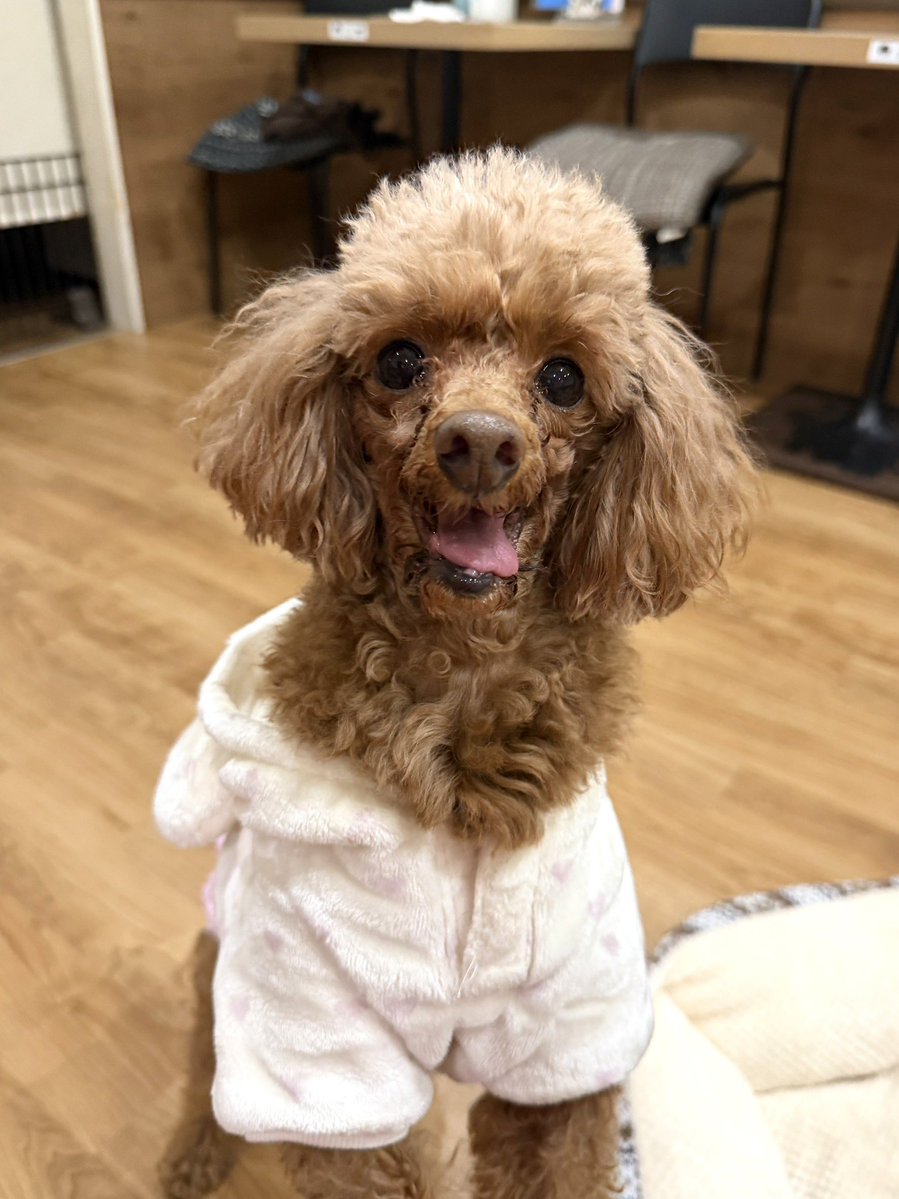 NPO法人LoveFive tweet media