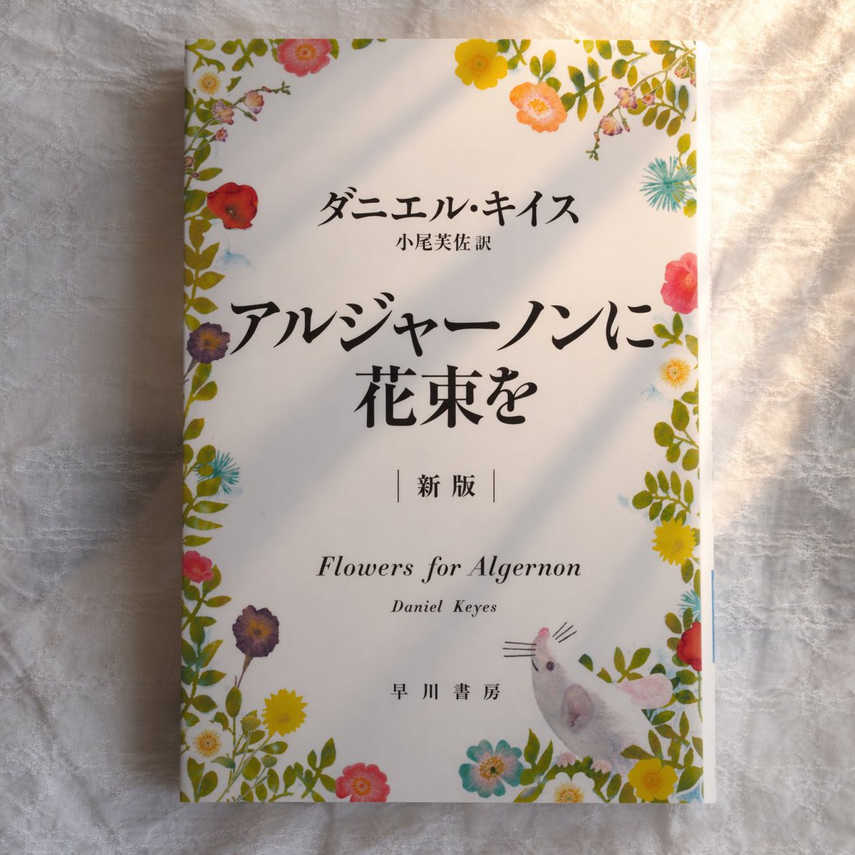 のぞ子 tweet media