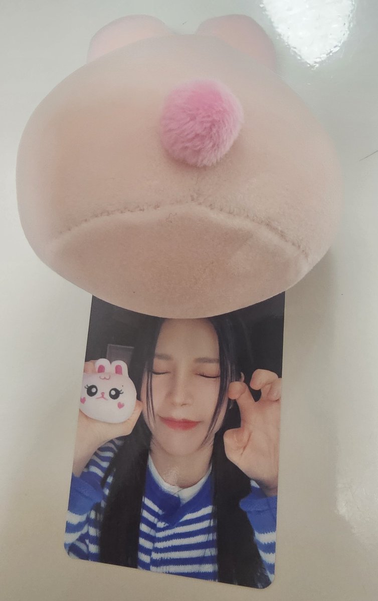 나의 사계절 마마무 tweet media