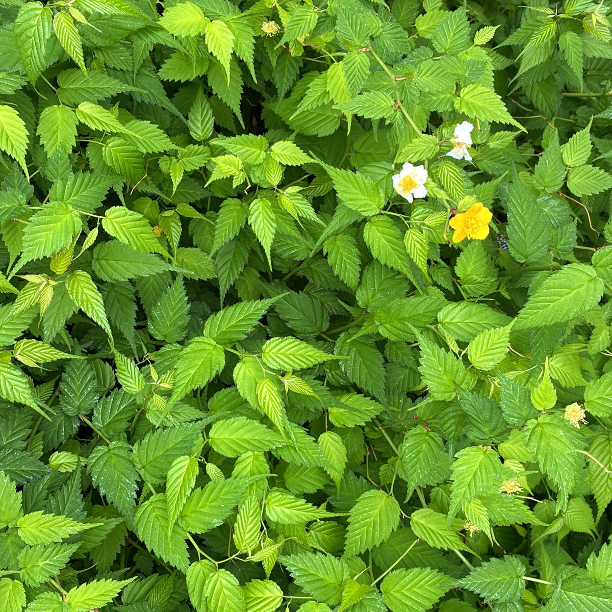 おはようございます。

できればシンプルに、、、

今日もよろしくお願いします。

皆さんよい木曜日をー