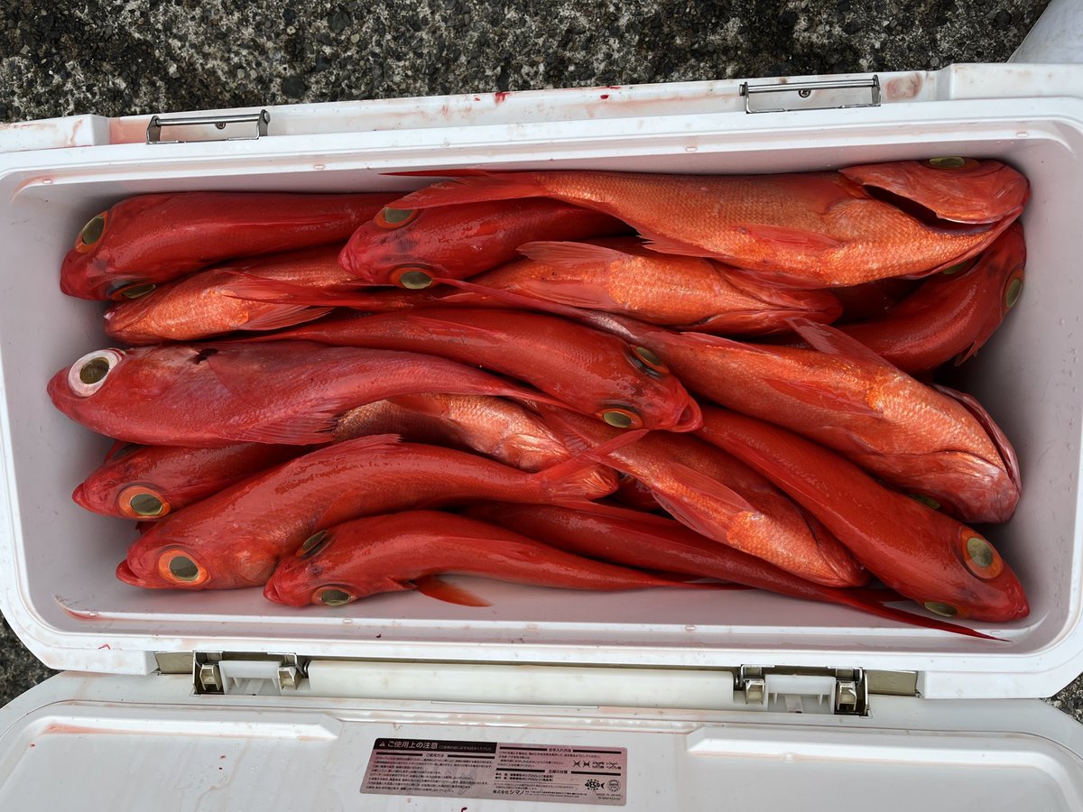 すどう丸 船長 tweet media