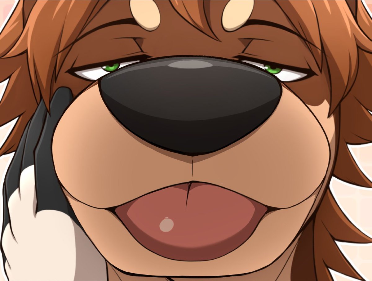 Aether 🔜 Awoostria 2026 tweet media