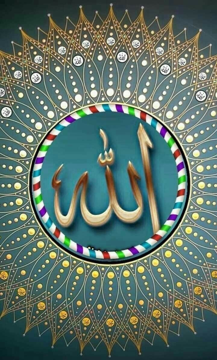 ✰𝗦𝘆𝗲𝗱 𝗦𝗼𝗵𝗮𝗶𝗹 PTI✰ tweet media