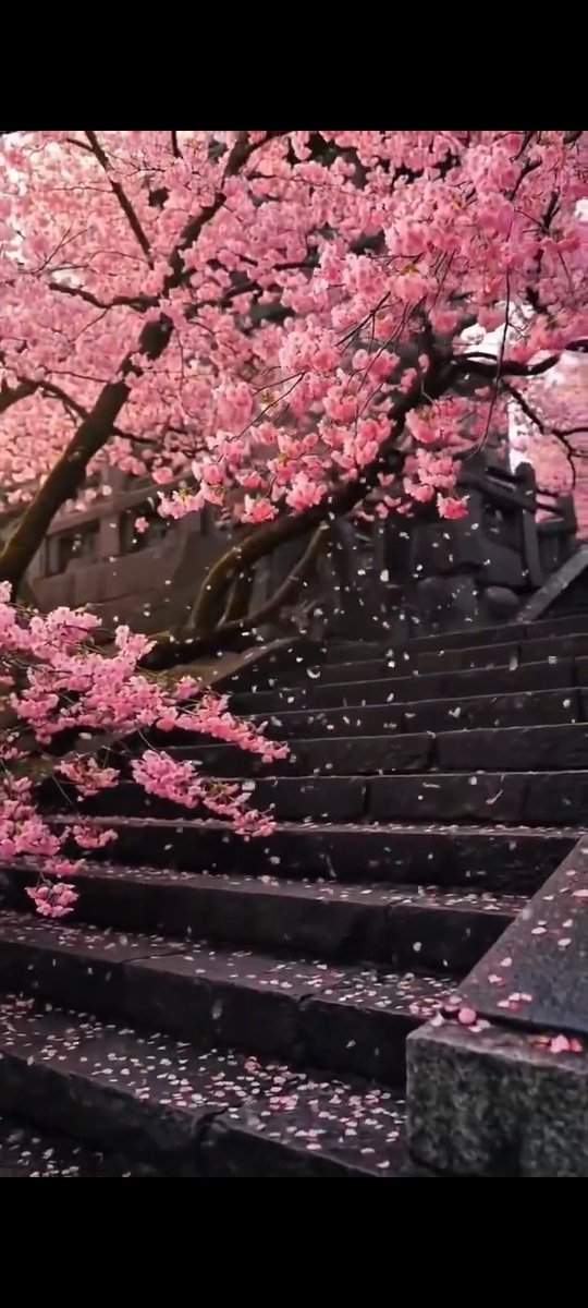 sagee786's tweet image. art in beauty 
beauty in art
is hidden 
one must have
eyes to look 
#love