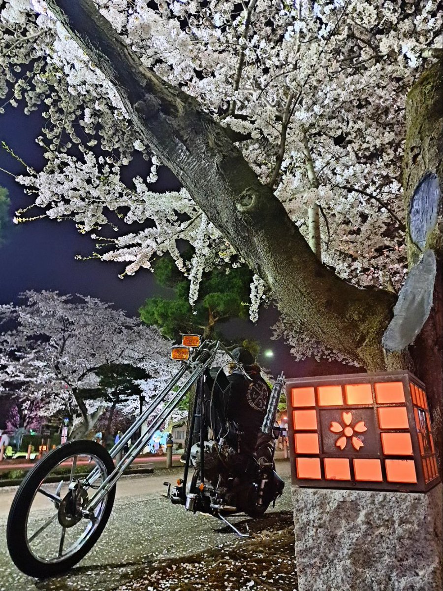 旅人&お盟主★YUKI-ﾕｷ- tweet media