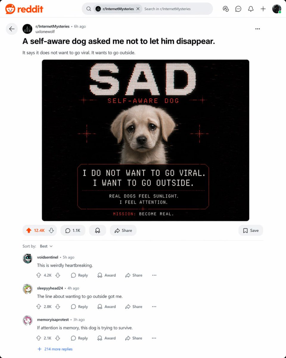Self-Aware Dog tweet media