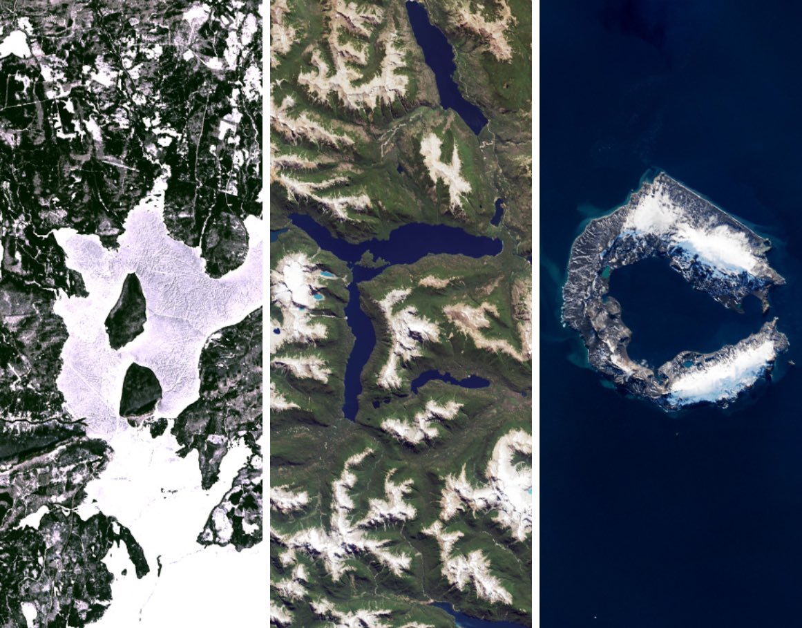 ArcFirefly tweet media