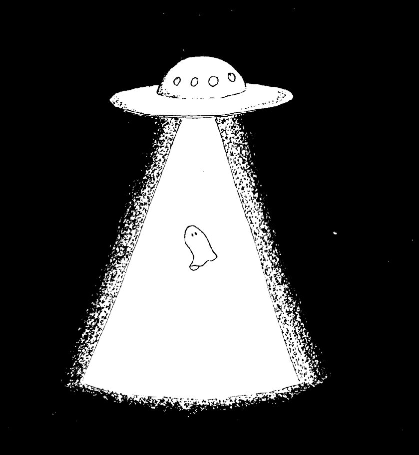 𝘀𝘂𝗶 tweet media