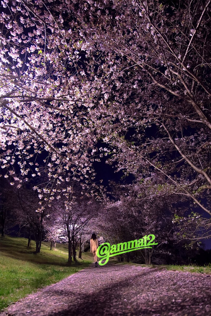 gamma12 tweet media