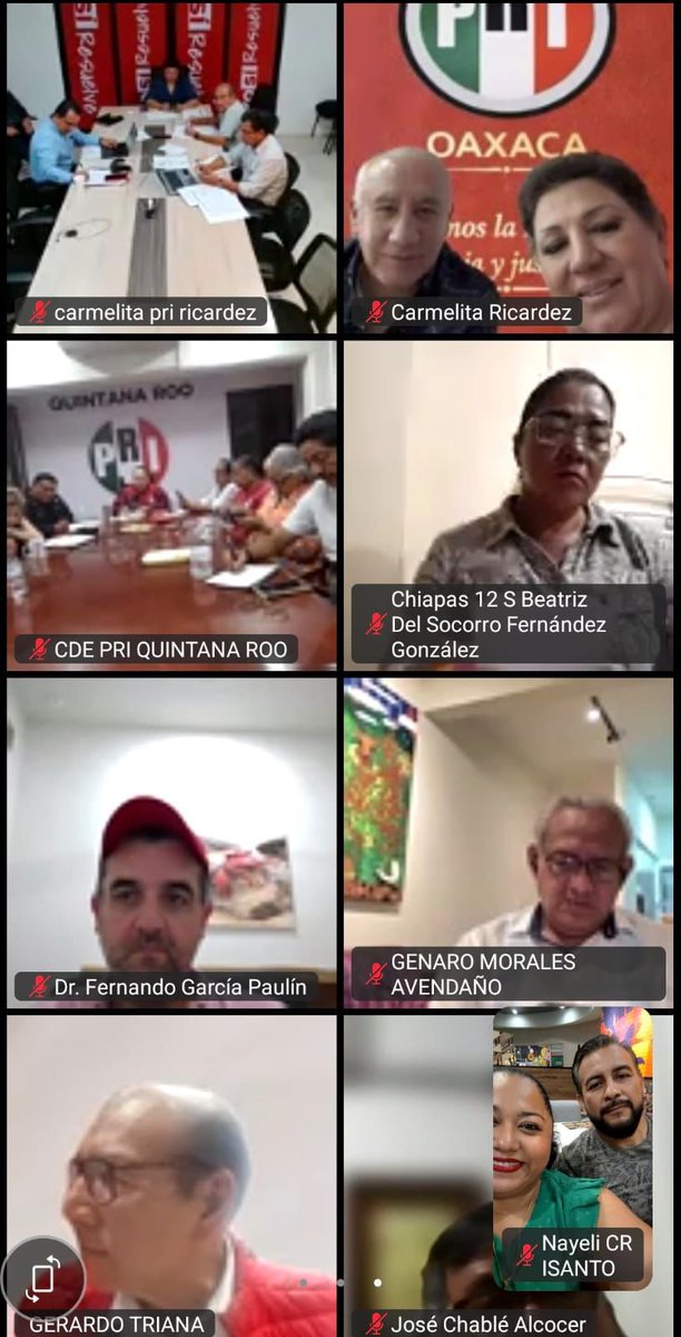 PRIQRooOficial's tweet photo. Fortaleciendo la representación electoral con capacitación continua

Se llevó a cabo de manera virtual la 2da. Sesión de la Segunda Etapa del Seminario de Profesionalización de la Estructura de Representación, dirigido a las y los representantes del PRI ante las Comisiones Distritales de Vigilancia y el Consejo General del OPLE, correspondiente a la tercera circunscripción plurinominal, que incluye al estado de Quintana Roo.

La sesión contó con la participación del Dip. Emilio Suárez Licona como ponente, quien abordó temas clave para el fortalecimiento del trabajo electoral:

Reclutamiento, capacitación y operación de Supervisores Electorales y Capacitadores Asistentes Electorales

Integración de Órganos Electorales

Por Quintana Roo, se contó con la presencia de la presidenta del CDE, Cora Amalia Castilla Madrid, así como de representantes ante los órganos electorales, directivos de los Comités Municipales y miembros del Comité Directivo Estatal.

Con estas acciones, reafirmamos nuestro compromiso con la preparación, organización y defensa de la voluntad ciudadana.