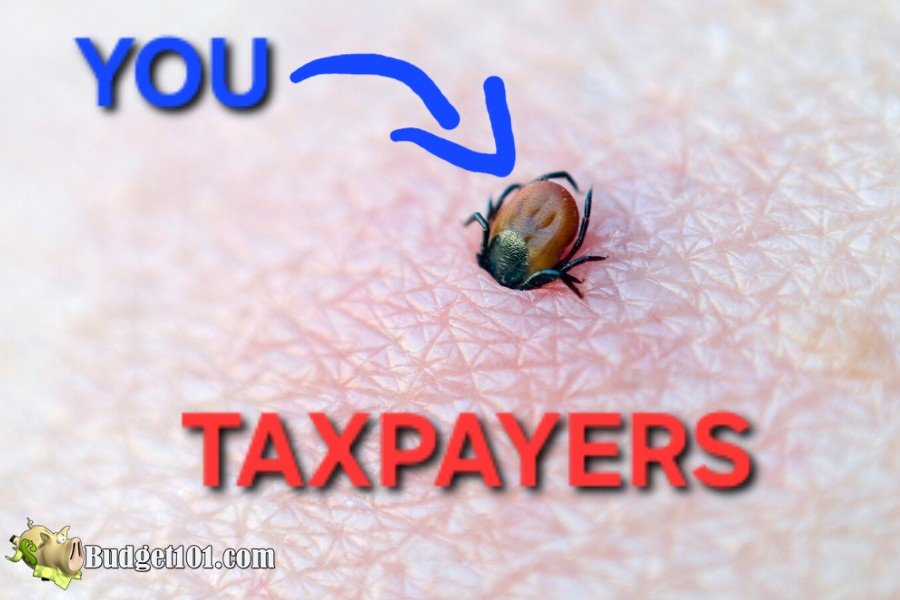 🇺🇸BillORights🇺🇸 tweet media