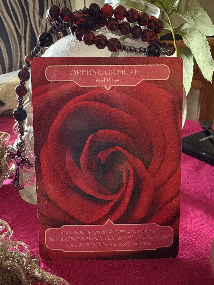 sahrablackrose's tweet image. #oracle