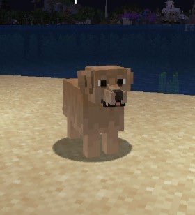 s ͏ ͏ ͏ ͏ ͏ ͏ ͏ ͏ ͏ ͏ ͏ ͏ ͏ ͏ ͏ ͏ ͏ ͏ ͏ ͏ ͏ ͏ ͏.+☆ tweet media