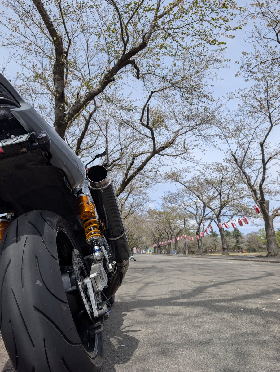 しばば tweet media