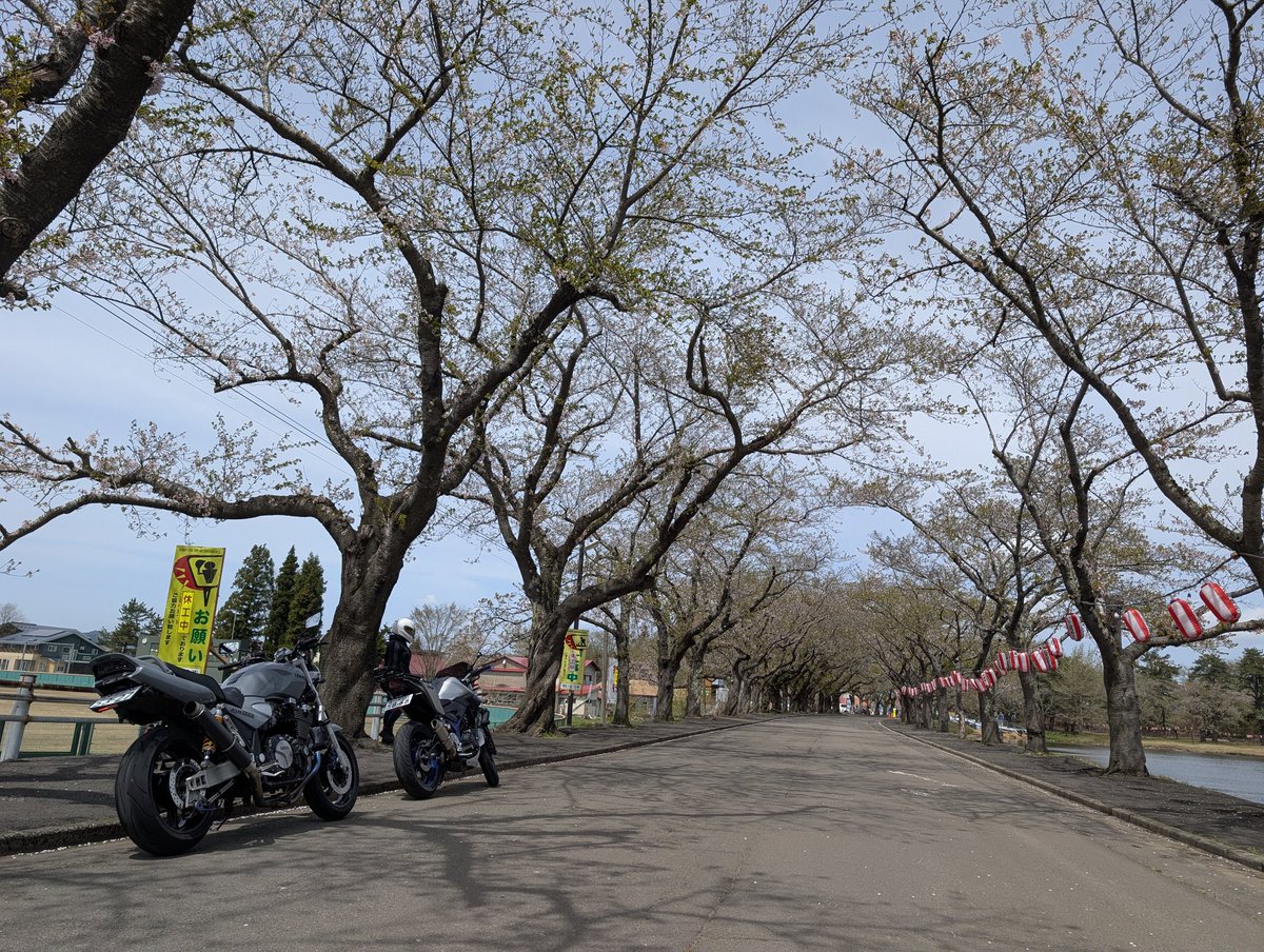 しばば tweet media