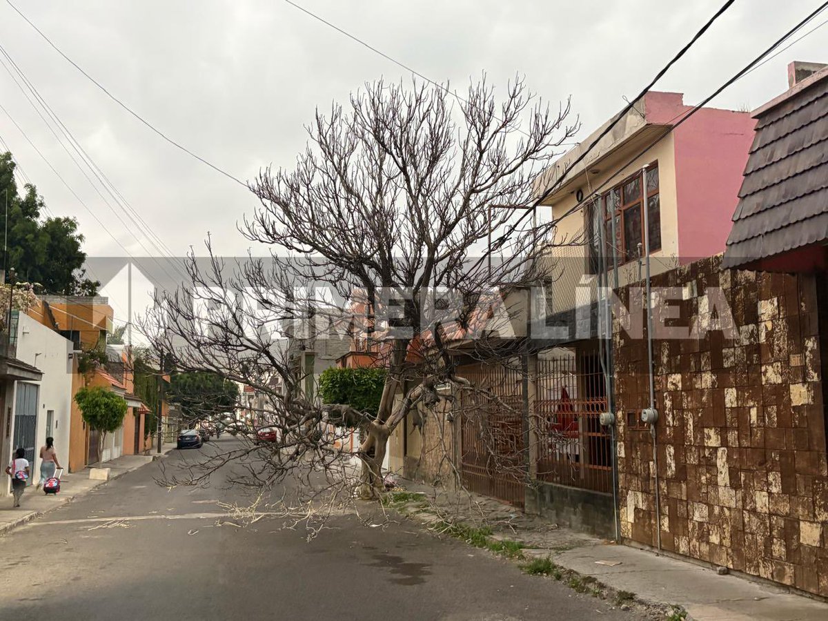 PrimeraLineaTH tweet media