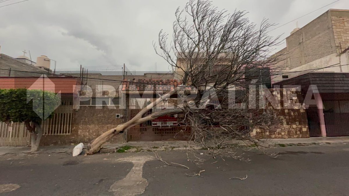 PrimeraLineaTH tweet media