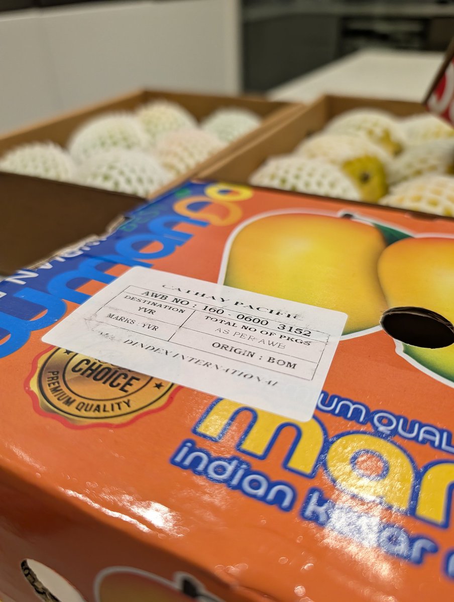 the free market will put a mango on an overnight flight from mumbai to vancouver so you can buy it for $5 and i think that's beautiful