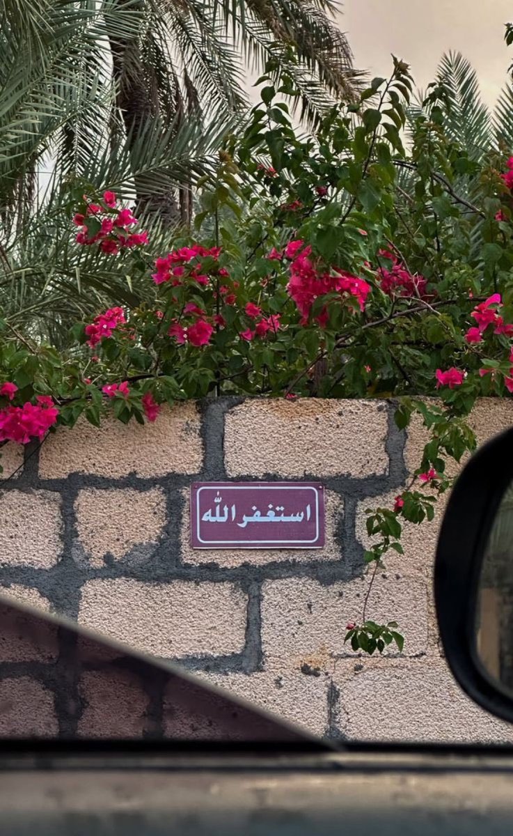 متعب tweet media