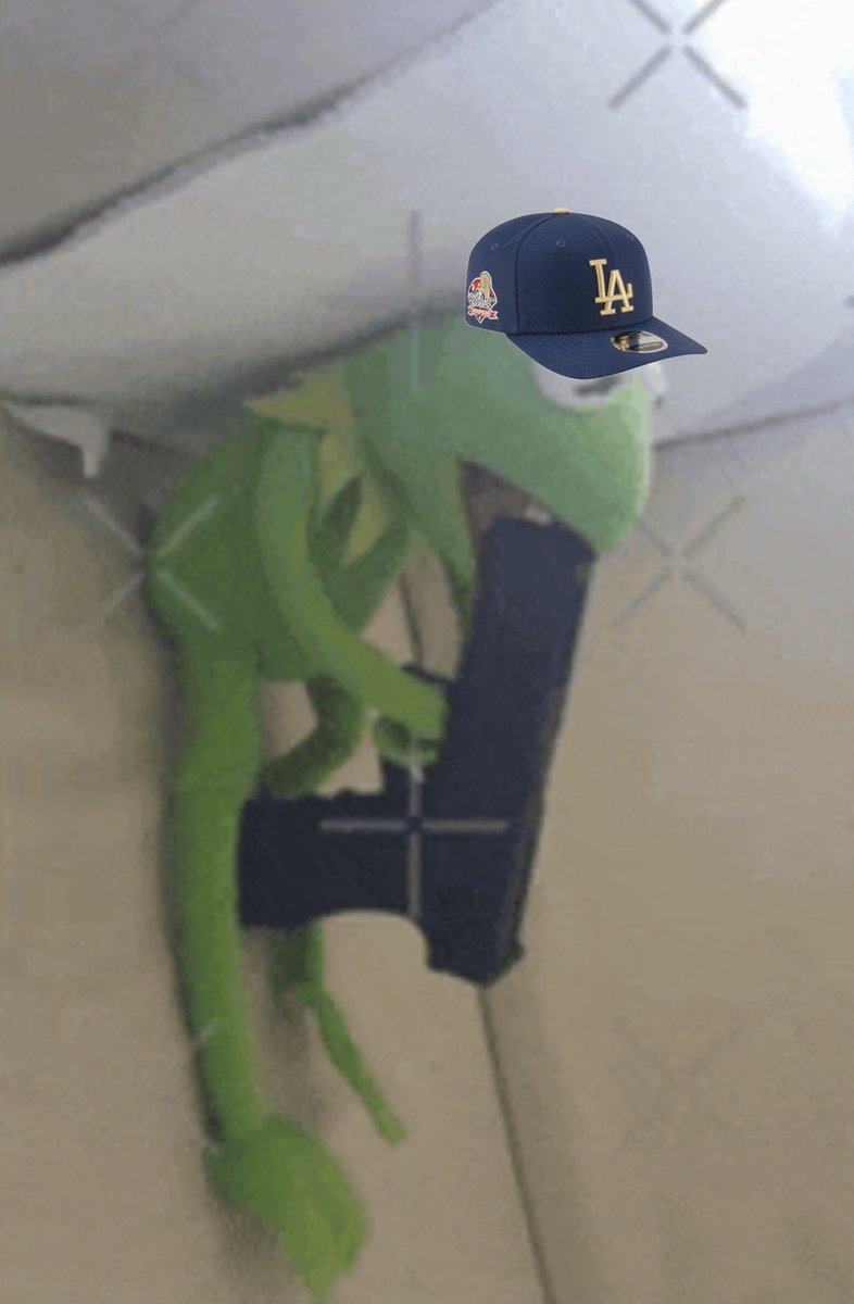 2025 WS champs (16-8) tweet media