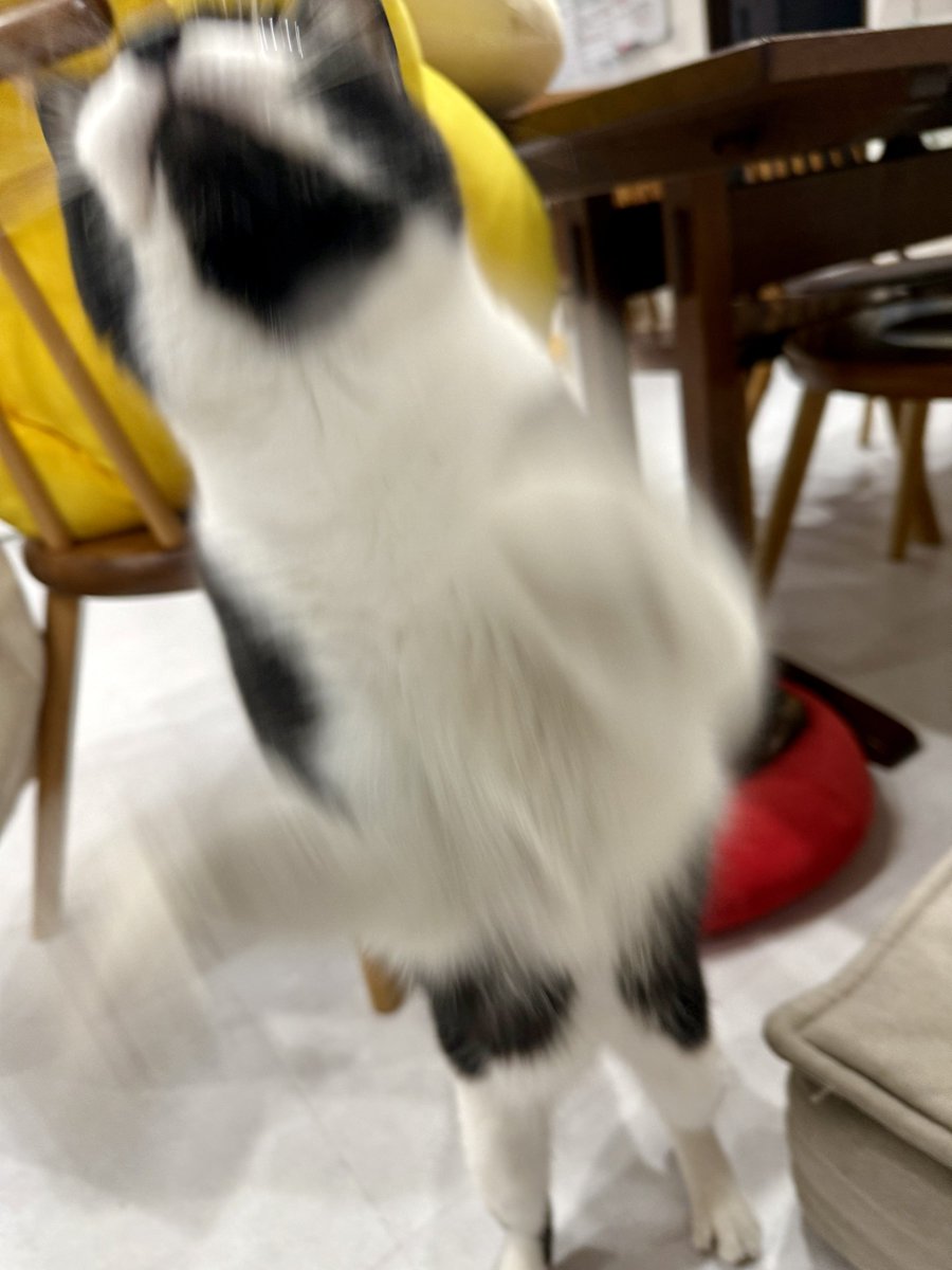 なみそ📕KEN/書籍重版！感謝📙 tweet media