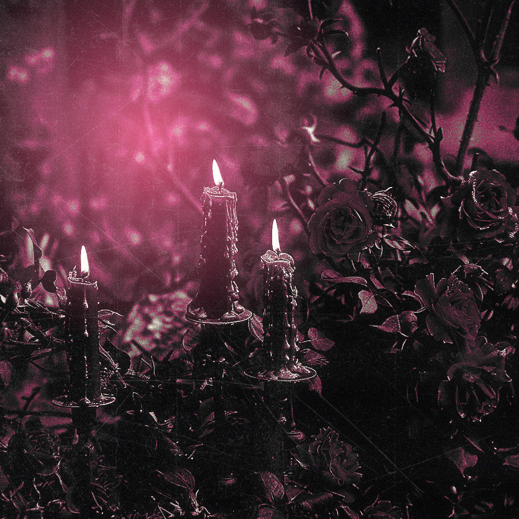 𝓜𝑎𝑔𝑦 tweet media