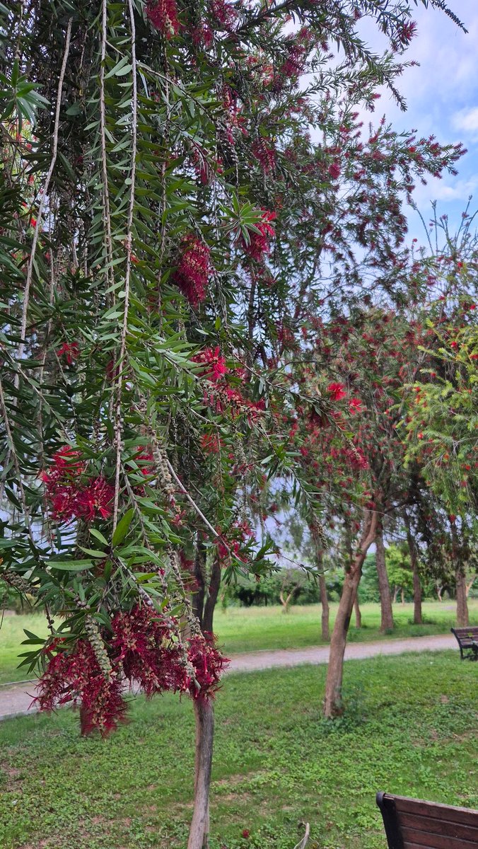 PavDhande's tweet photo. Islamabad Talks or Islamabad Walks? https://t.co/rkj7s6p018