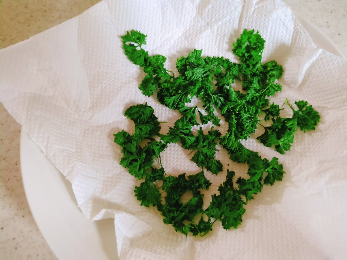 シロちゃん tweet media