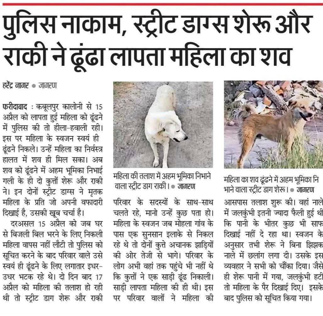 PunitaS44575106's tweet image. Where police fails 
Street dogs help in saving minor ,
Street dog helps in catching theif ,
Street dog helps rapist ,
Know the importance of stray animals .
#saviour
#Security 
#Animals are the life saviours 
Save them
@PhaedraXTeddy 
@gabrielcharro_ 
@dilthi_gujarati @Girijeshv