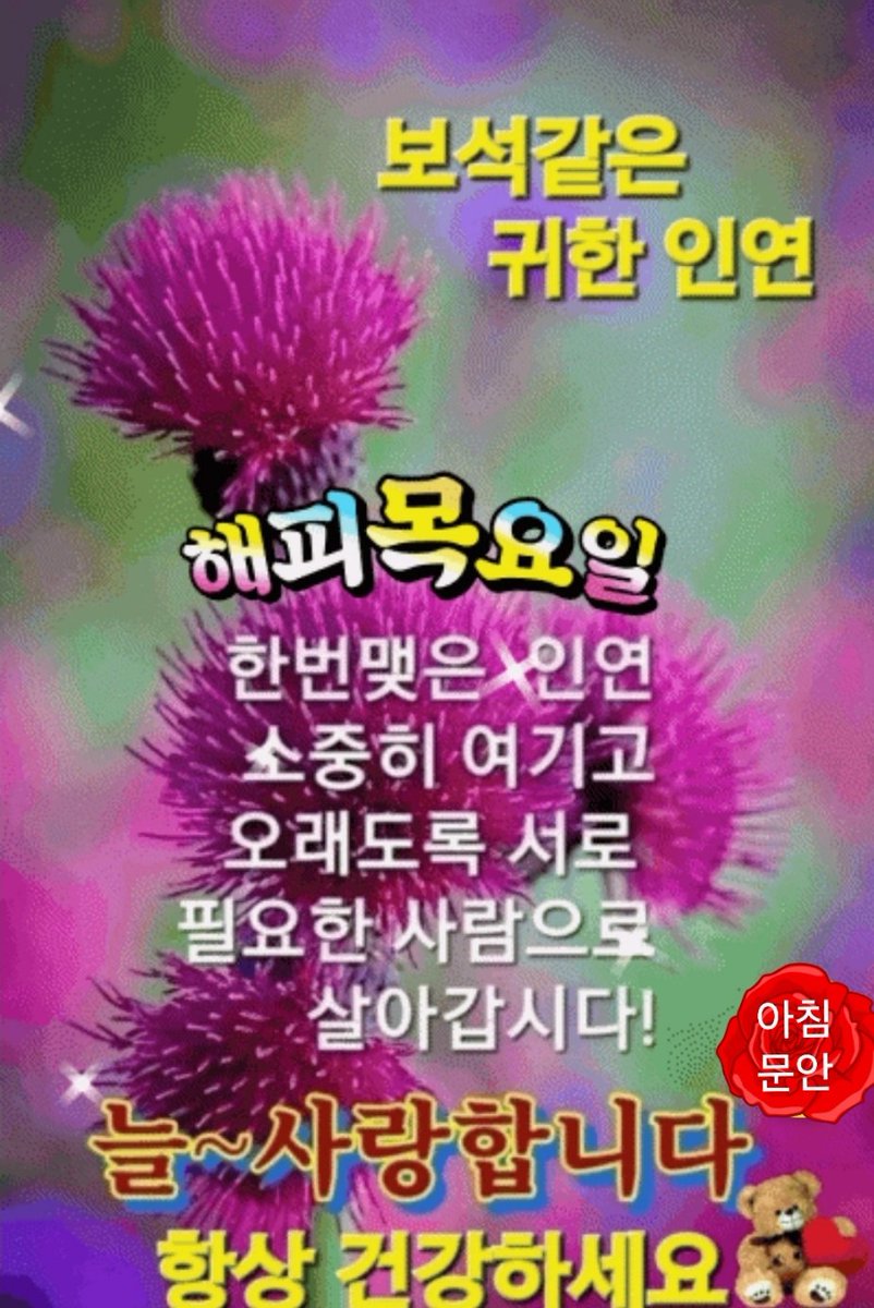 으르신 카톡 짤 모음👍 tweet media