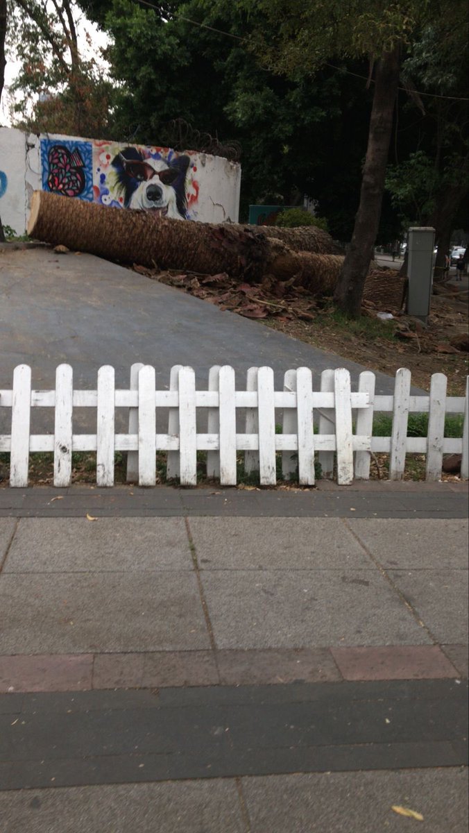 LIDIADIALI tweet media