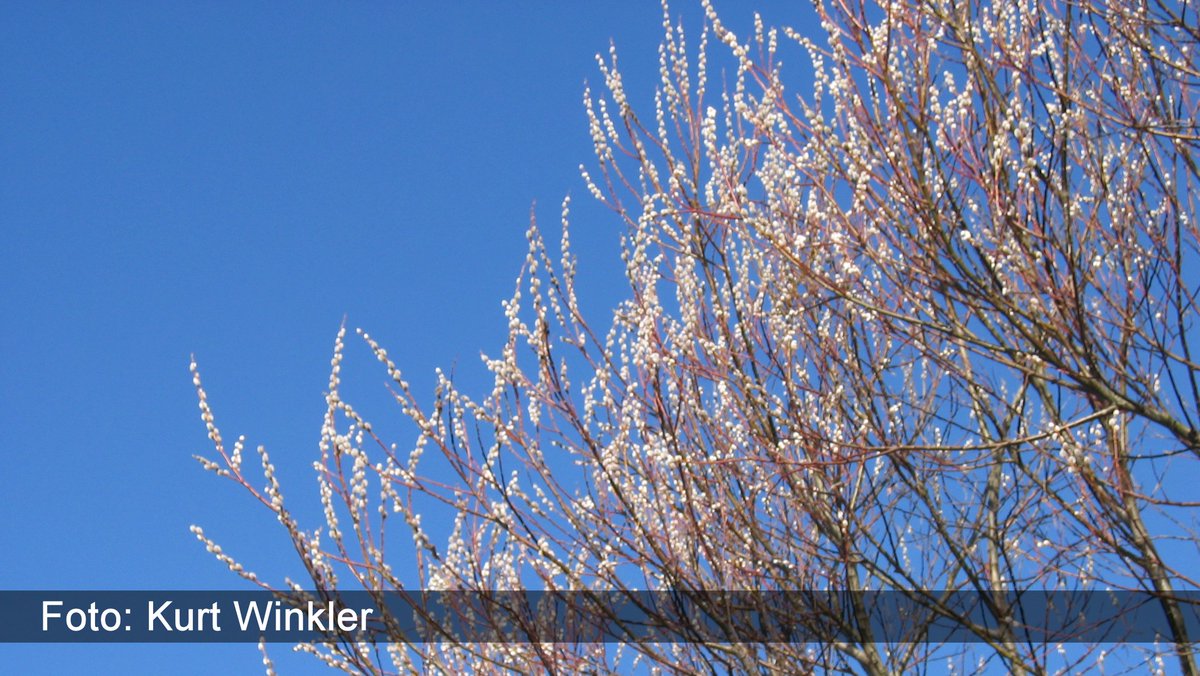 Sonniges Frühlingswetter in Dänemark mit kühlem Wind an der Westküste