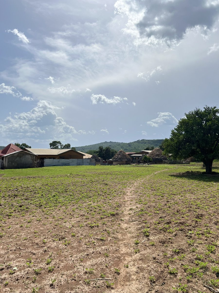 Hamidou Condé tweet media