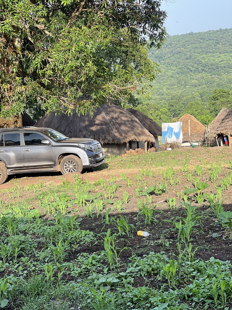 Hamidou Condé tweet media