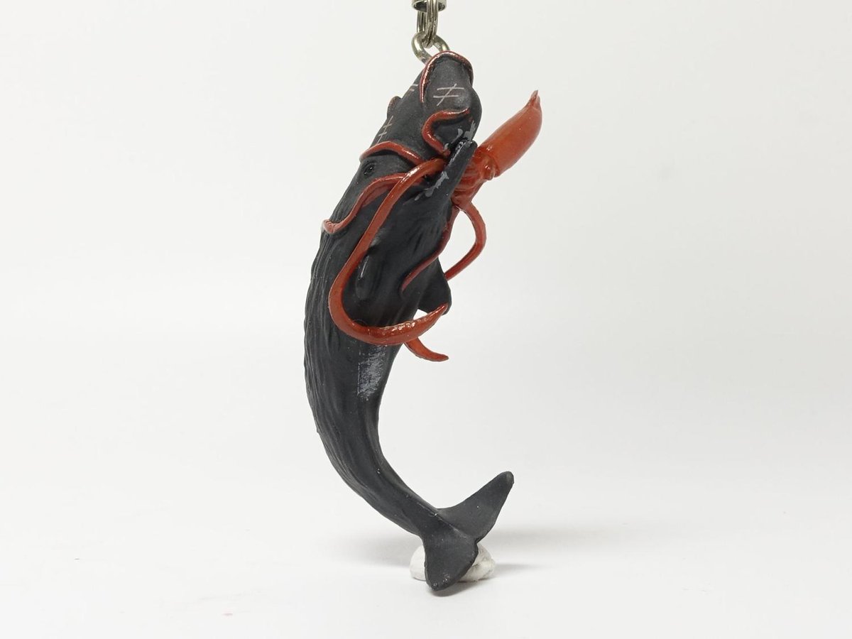2013年の科博の特別展「深海」で販売された「イカコレ！ 深海
