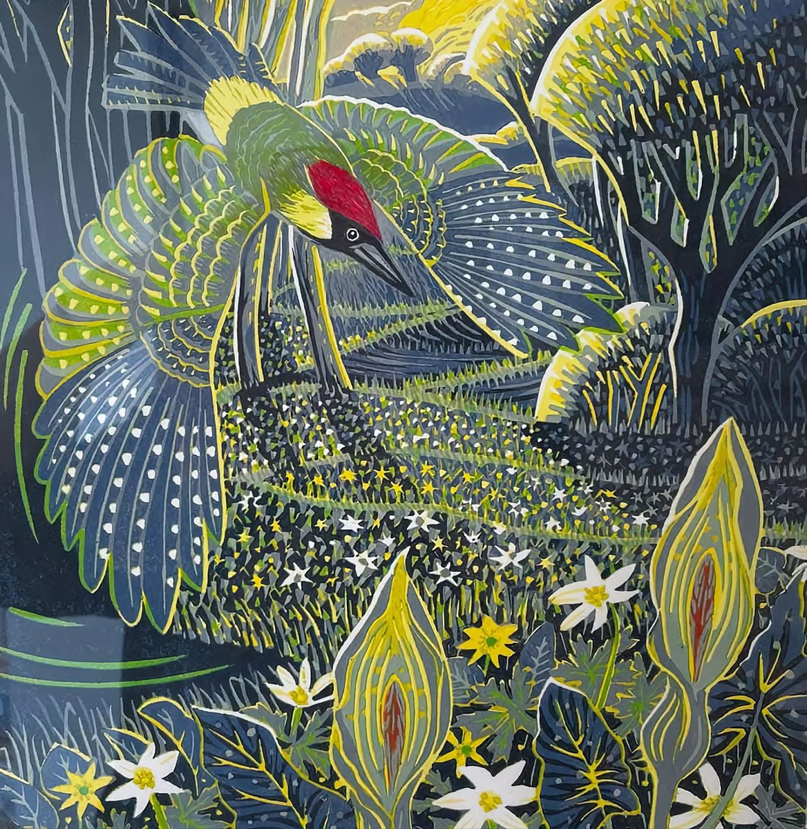 Into The Forest Dark tweet media