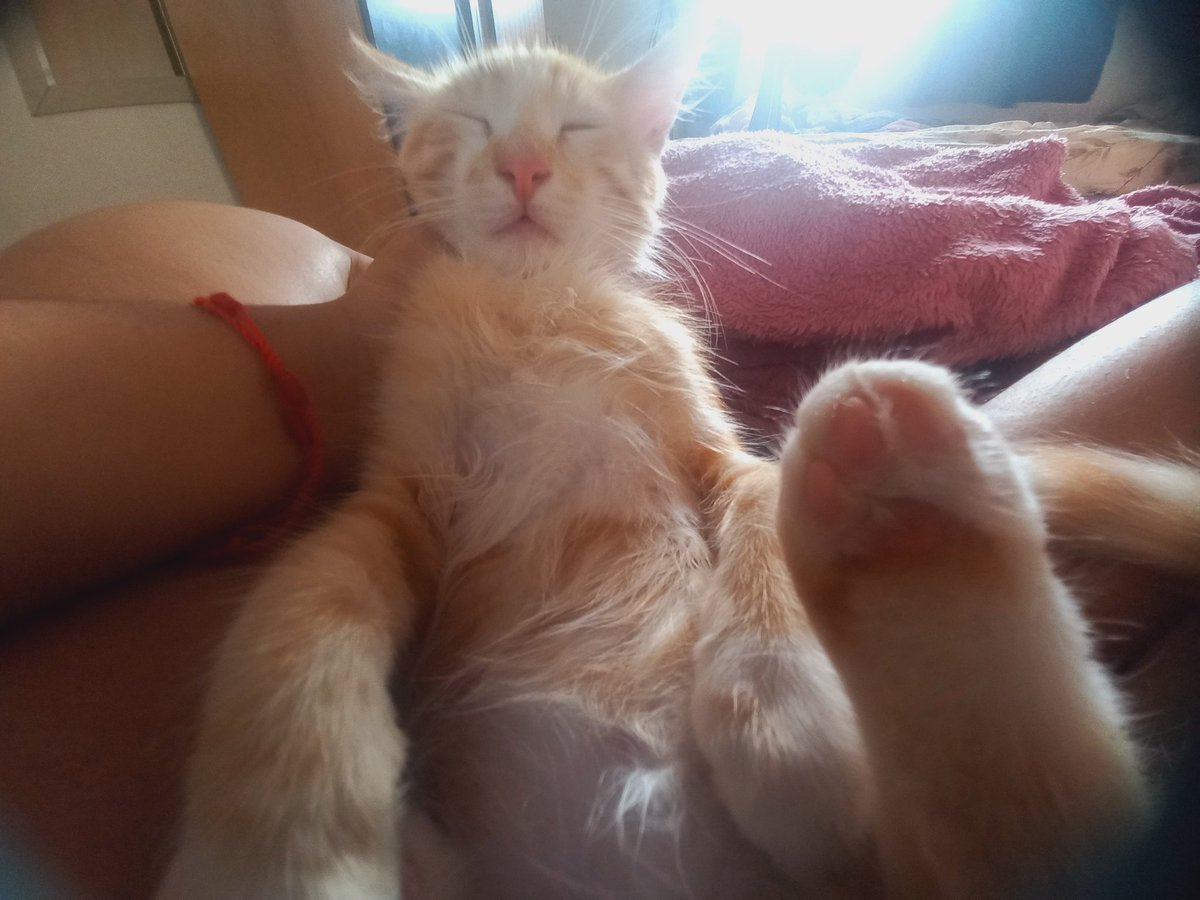 ᴅᴜᴅᴀ 🍷 tweet media