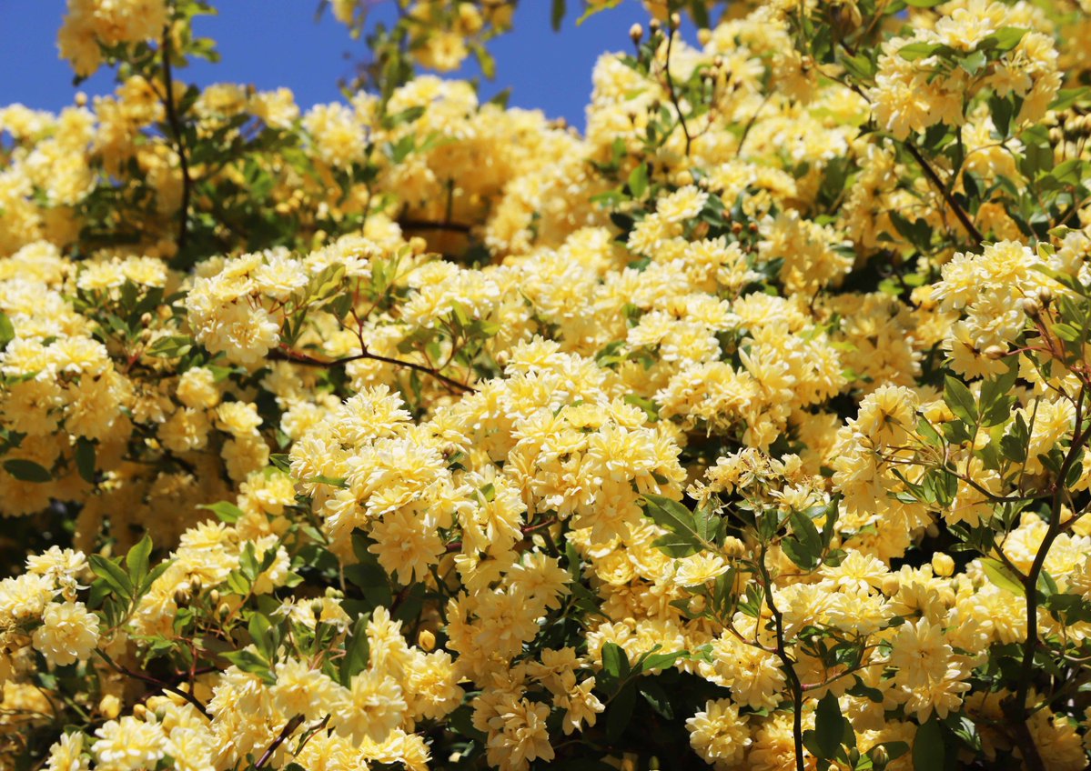 片柳弘史 tweet media