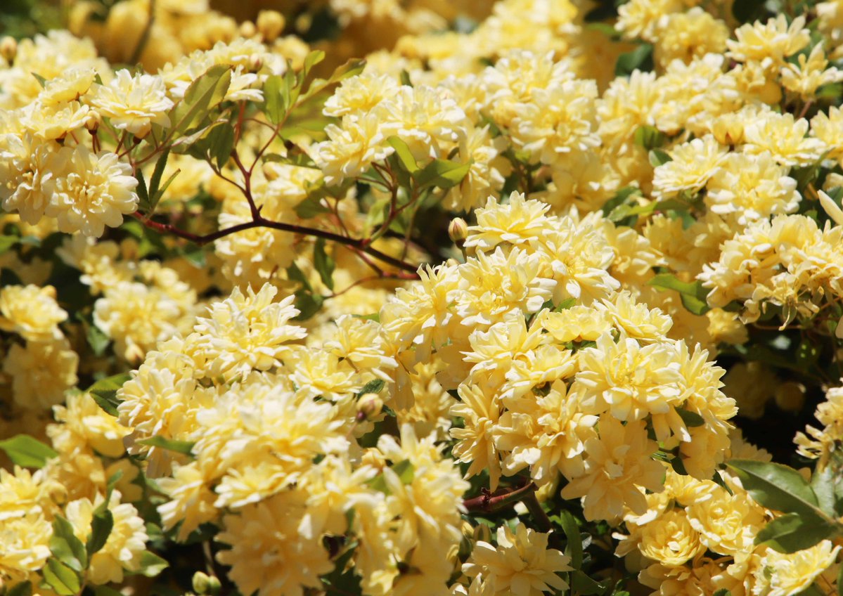 片柳弘史 tweet media