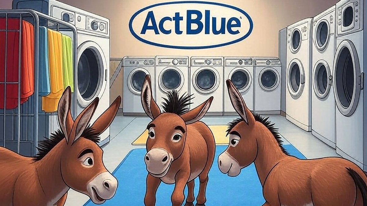 David Reese tweet media