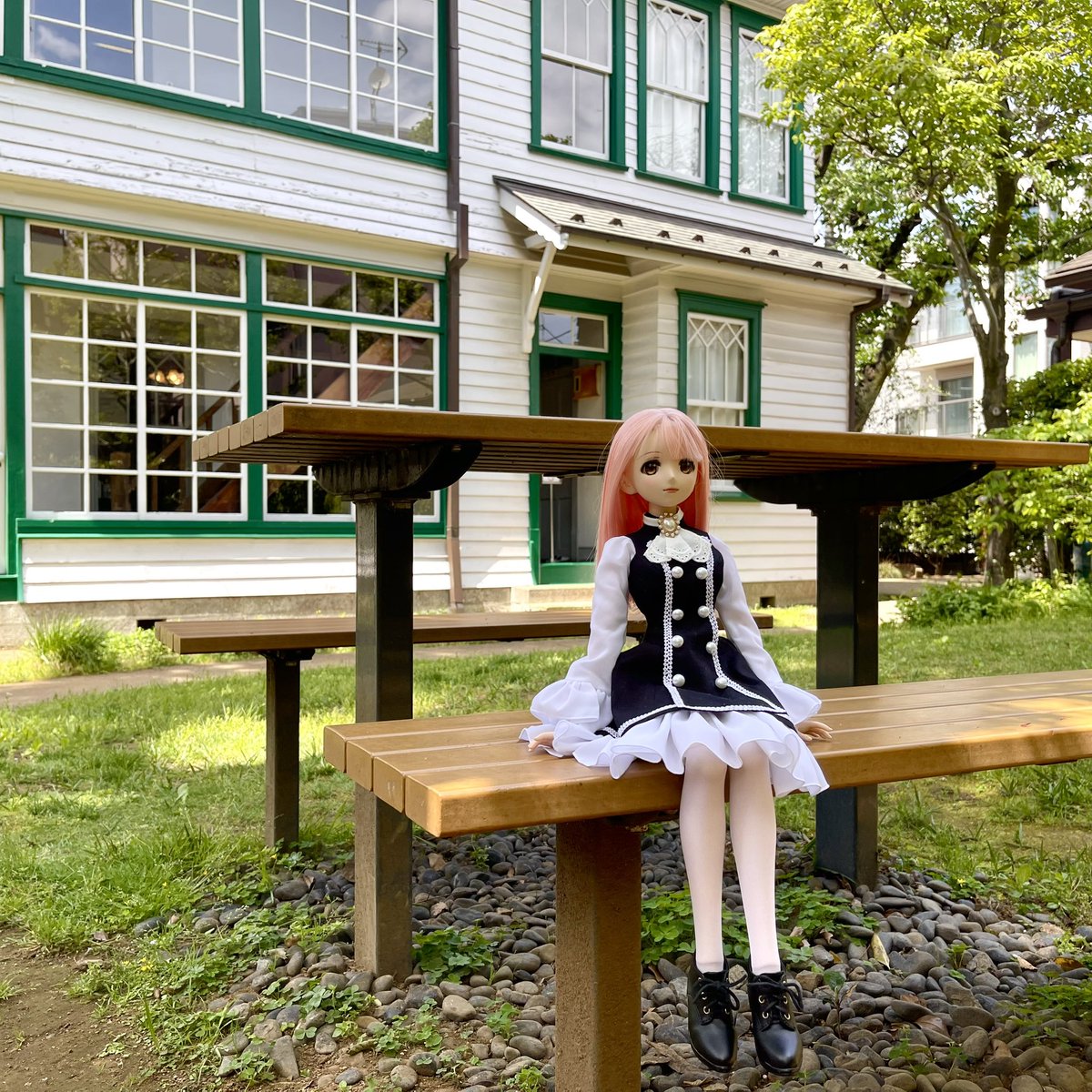 Marikichi2A's tweet photo. 昨日のもも散歩は #ramcot さんの衣装で https://t.co/SrT6UeUd9G