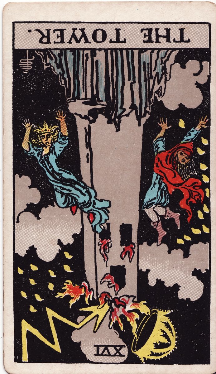 ハト占い┊青鳩 tweet media