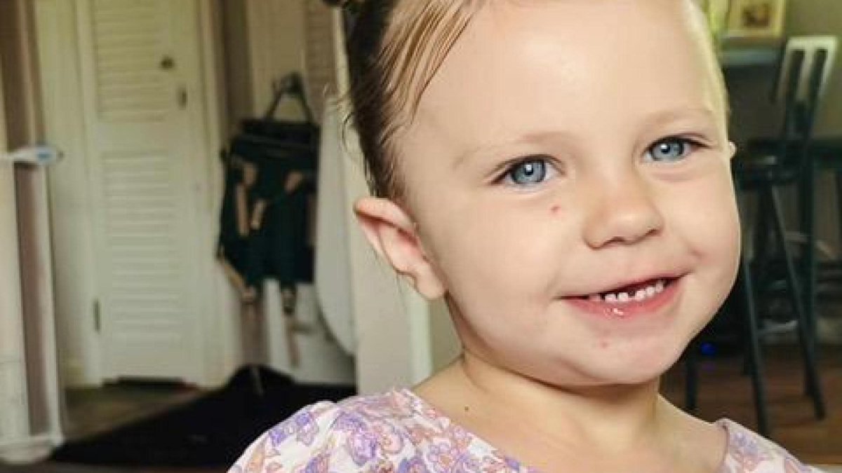 Ⱥmerican Trucker 🇺🇸 tweet media