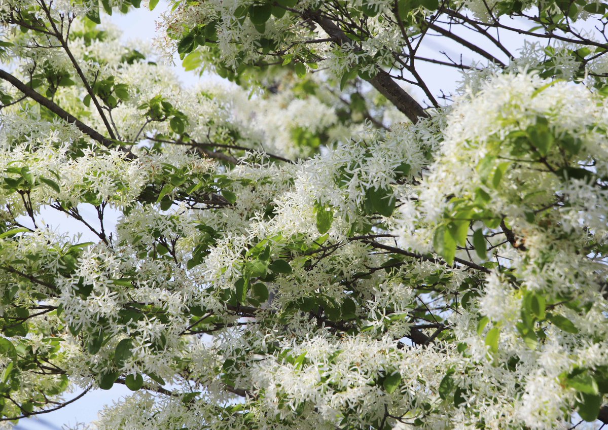 片柳弘史 tweet media