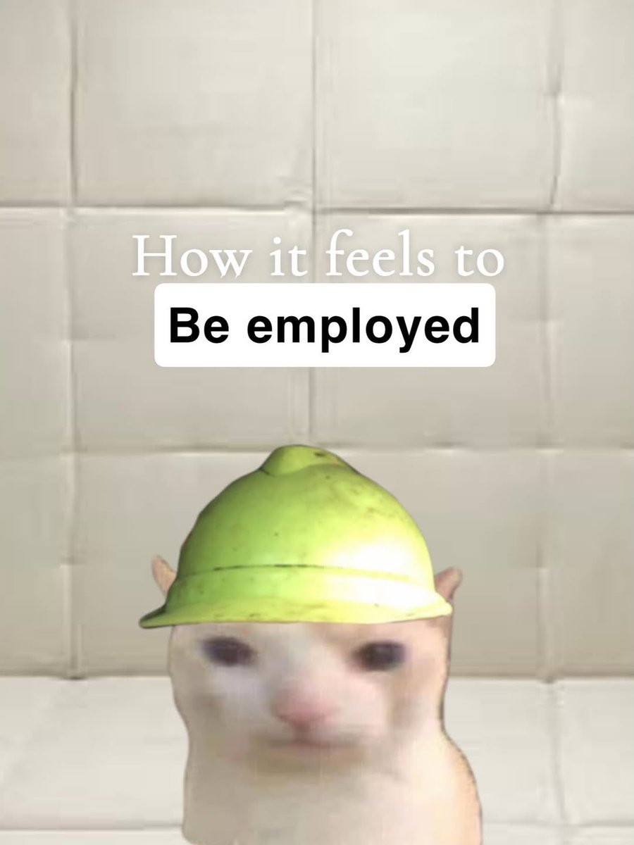 LiterallyMeCats tweet media